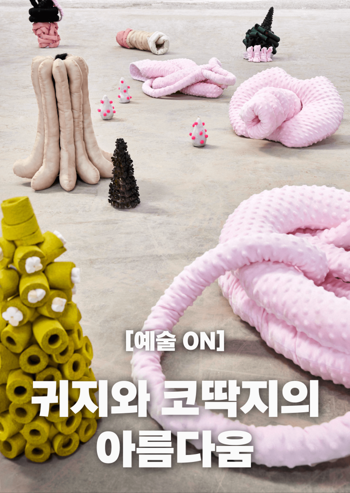[예술ON] 귀지와 코딱지의 아름다움 이미지